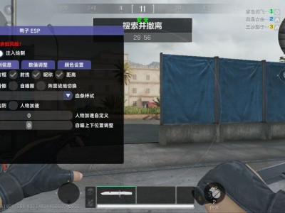 三角洲行动WD辅助（助力精准策略与高效执行）